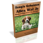 beagle handboek