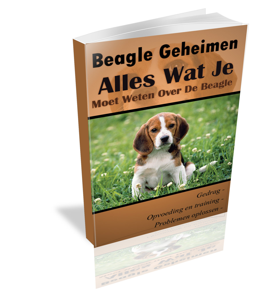 beagle handboek
