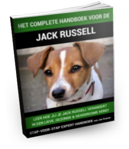 jack russel handboek