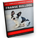 franse bulldog handboek