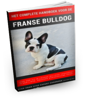 franse bulldog handboek